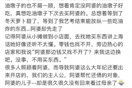 武侯为什么选择专业追讨公司来处理您的债务纠纷？